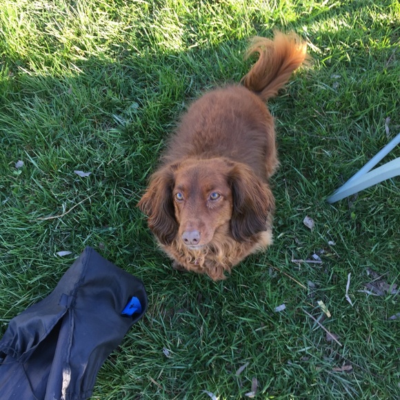 Meet Your Posher, Lori! - Picture 7 of 8